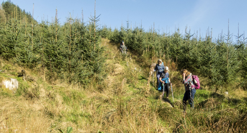 Photograph of Walking Route - Image 42