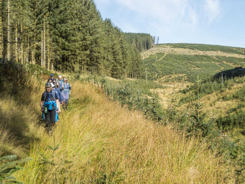 Photograph of Walking Route - Image 43