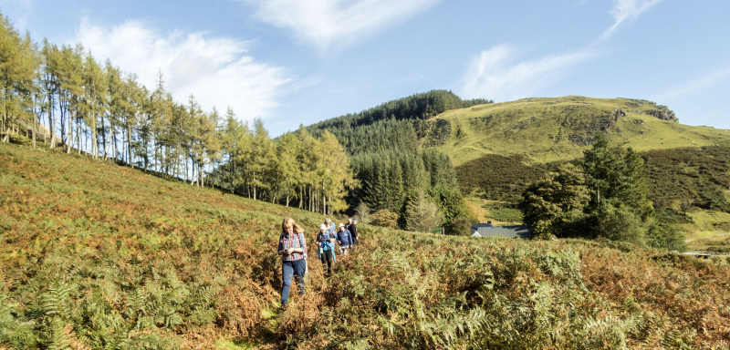 Photograph of Walking Route - Image 46