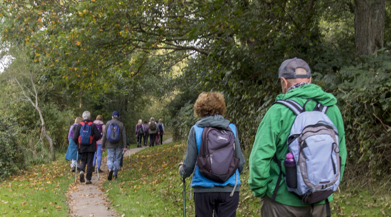 Photograph of Walking Route - Image 12