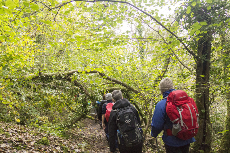 Photograph of Walking Route - Image 17