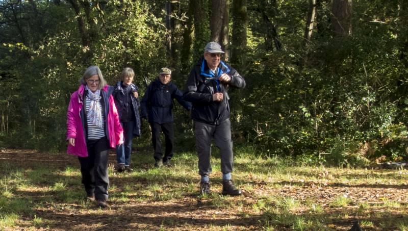 Photograph of Walking Route - Image 7