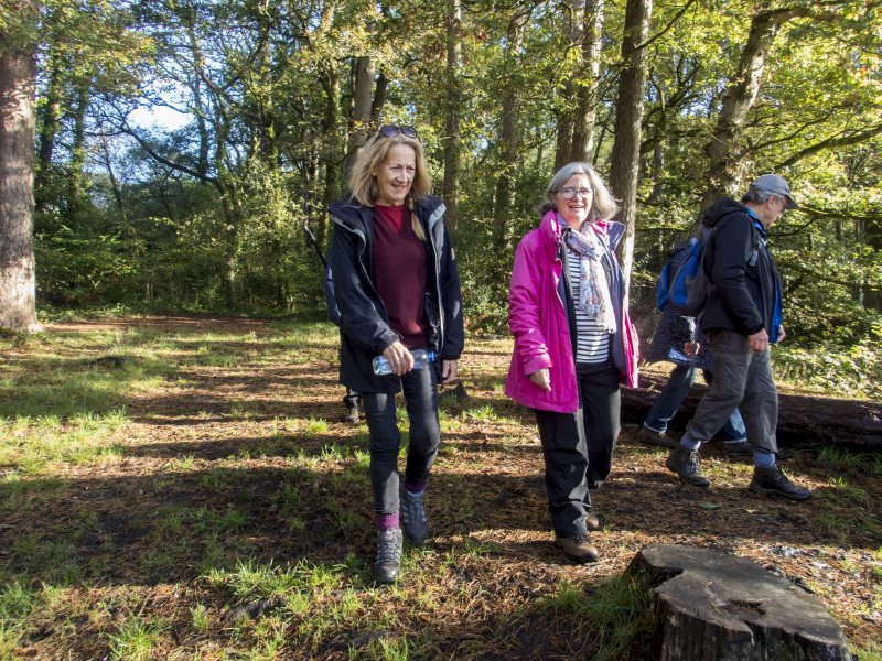 Photograph of Walking Route - Image 8