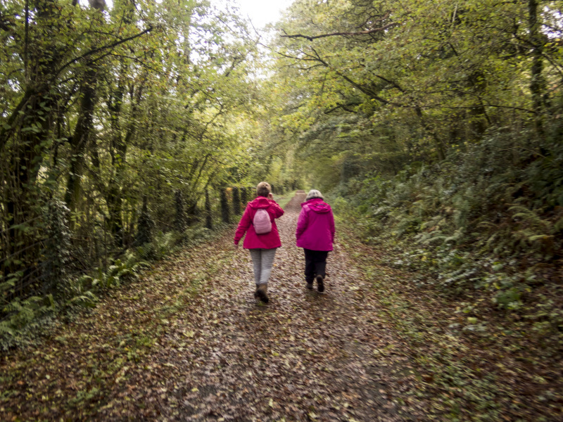 Photograph of Walking Route - Image 12