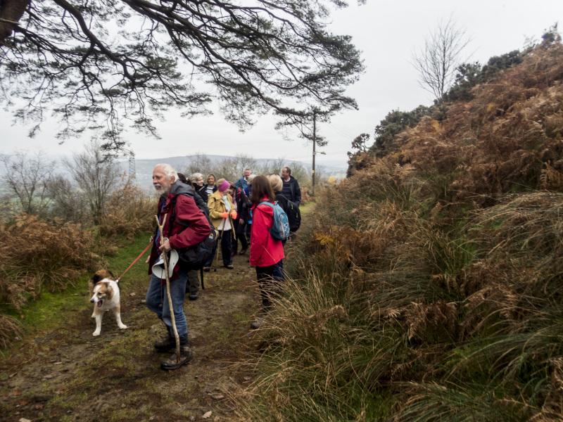 Photograph of Walking Route - Image 9