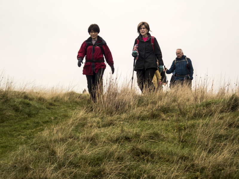 Photograph of Walking Route - Image 16