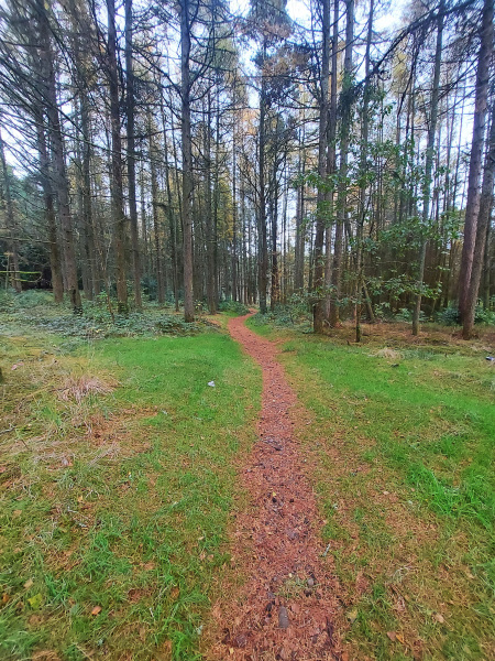Photograph of Walking Route - Image 14