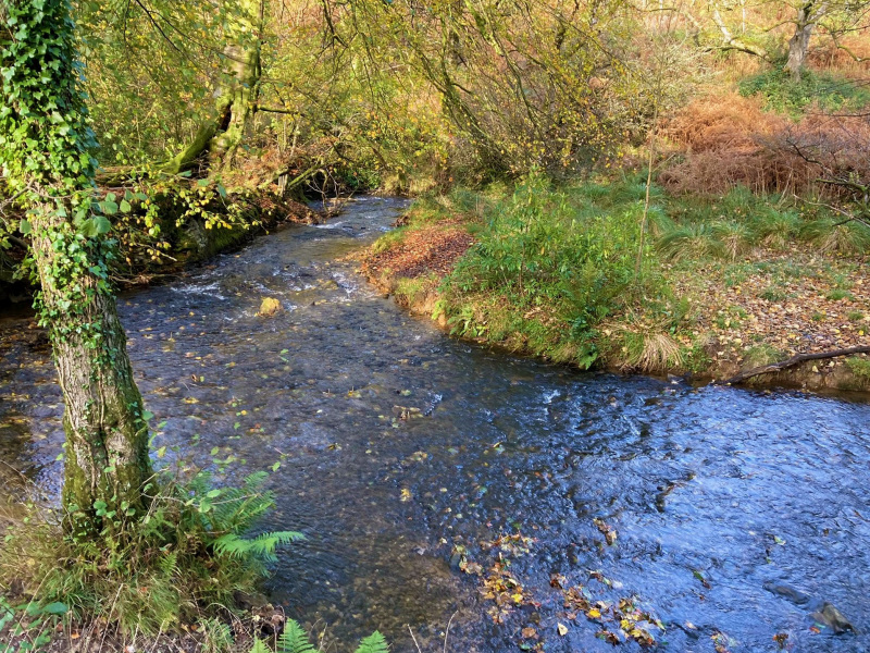 Photograph of Walking Route - Image 13