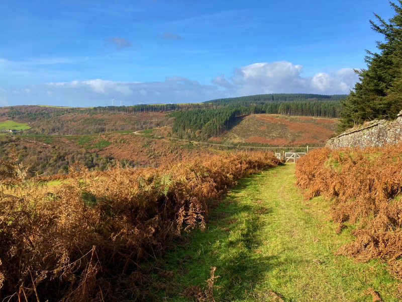 Photograph of Walking Route - Image 14