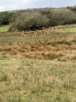 Photograph of Walking Route - Image 15