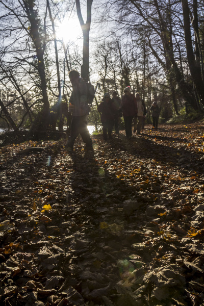 Photograph of Walking Route - Image 4