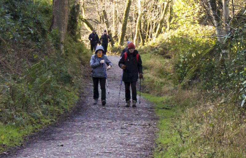 Photograph of Walking Route - Image 6