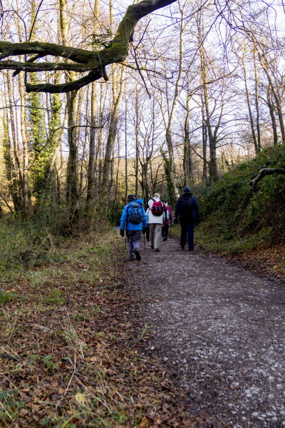 Photograph of Walking Route - Image 7