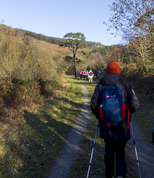 Photograph of Walking Route - Image 10