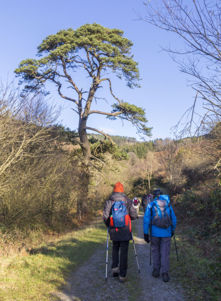 Photograph of Walking Route - Image 11