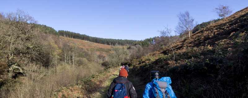 Photograph of Walking Route - Image 12