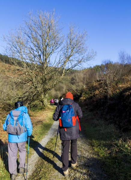 Photograph of Walking Route - Image 13