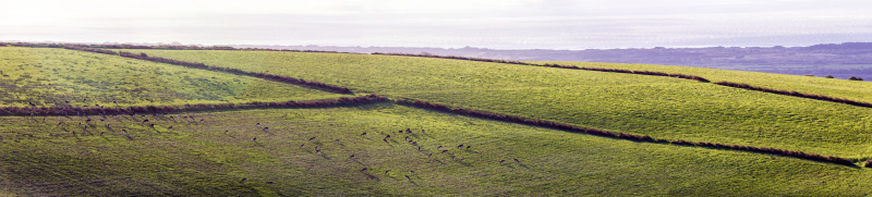 Photograph of Walking Route - Image 16