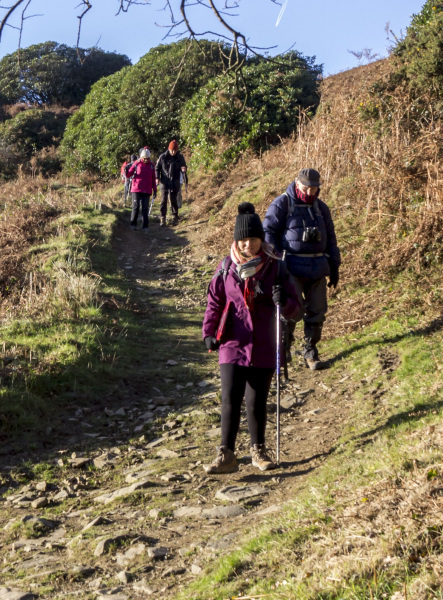 Photograph of Walking Route - Image 45