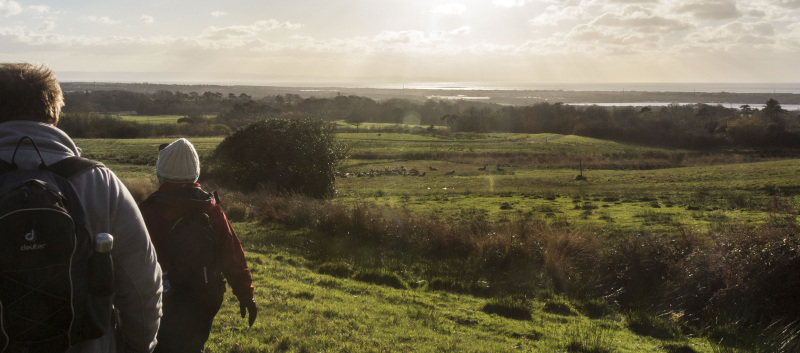 Photograph of Walking Route - Image 46