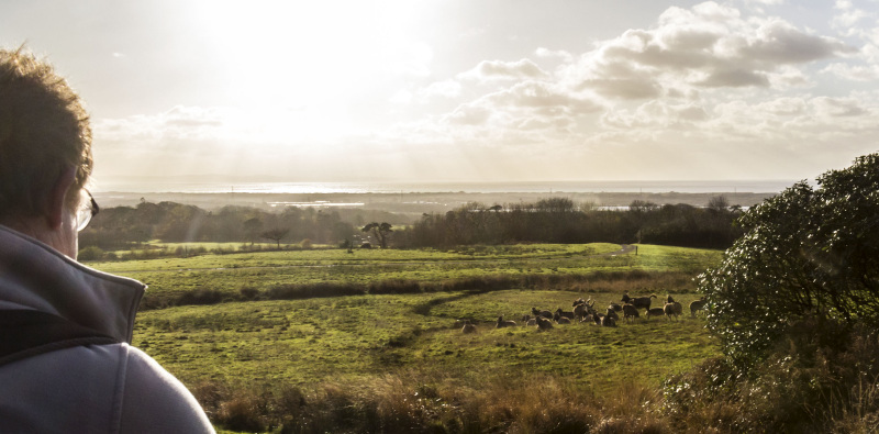 Photograph of Walking Route - Image 48