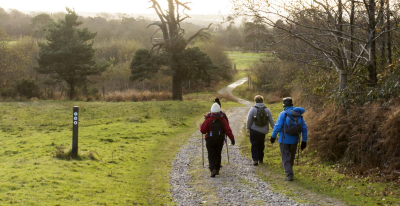 Photograph of Walking Route - Image 56