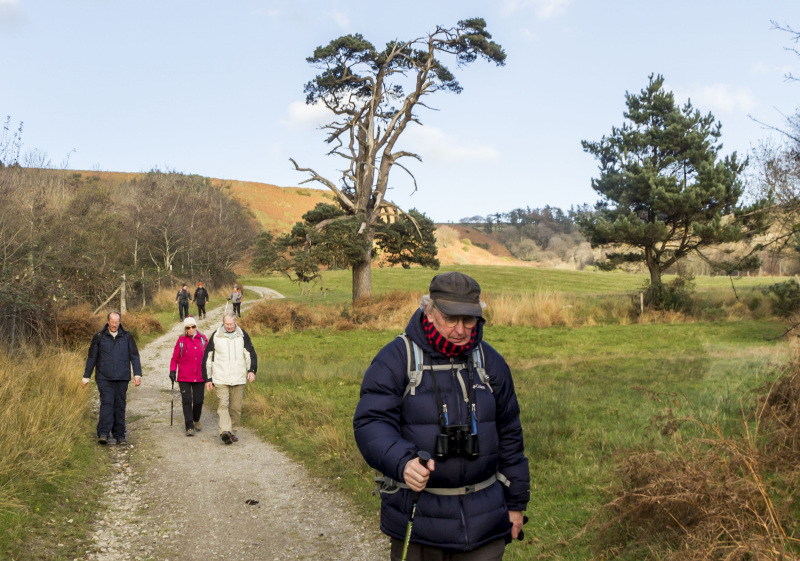 Photograph of Walking Route - Image 57