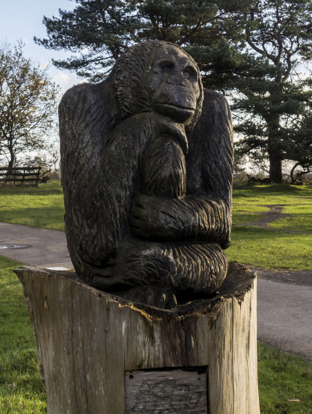 Photograph of Walking Route - Image 62