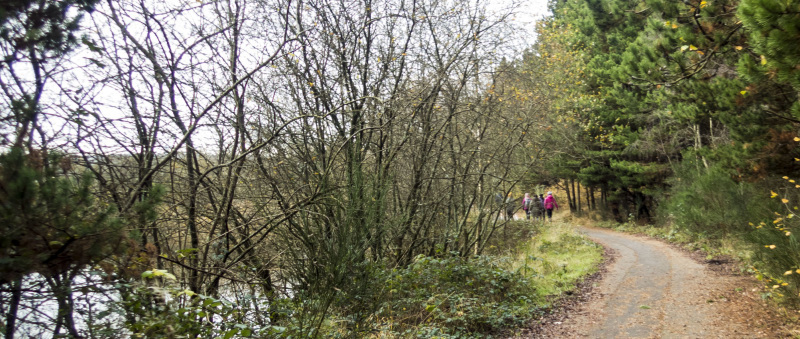 Photograph of Walking Route - Image 8