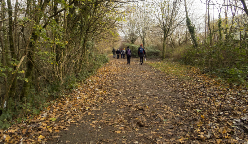 Photograph of Walking Route - Image 22