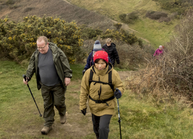 Photograph of Walking Route - Image 4