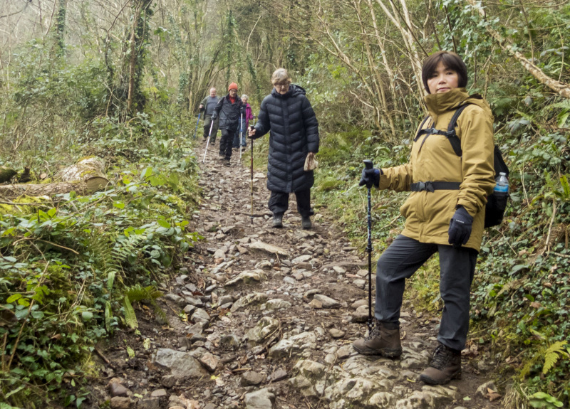 Photograph of Walking Route - Image 15