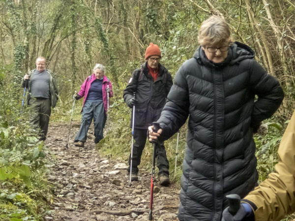 Photograph of Walking Route - Image 17