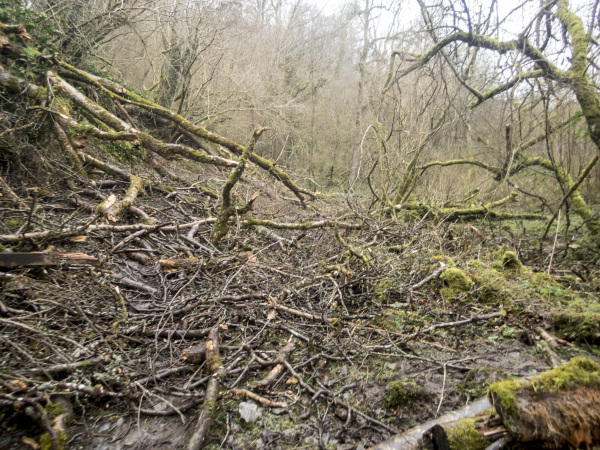 Photograph of Walking Route - Image 19