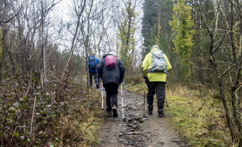 Photograph of Walking Route - Image 6