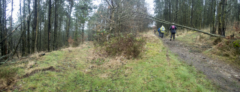Photograph of Walking Route - Image 8