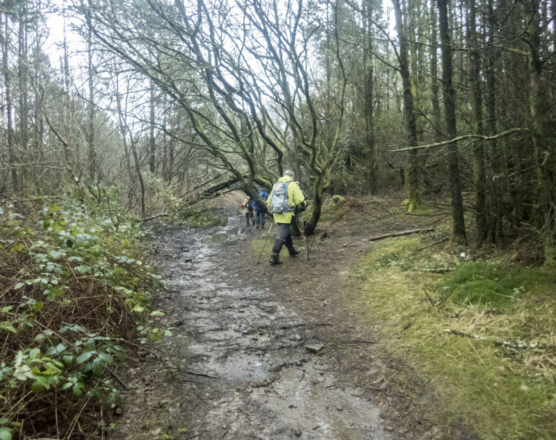 Photograph of Walking Route - Image 9