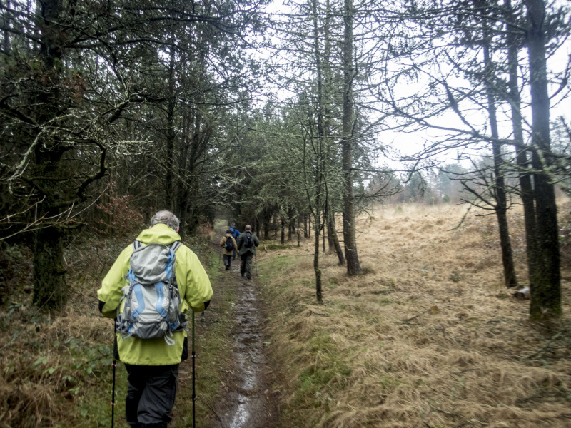Photograph of Walking Route - Image 10