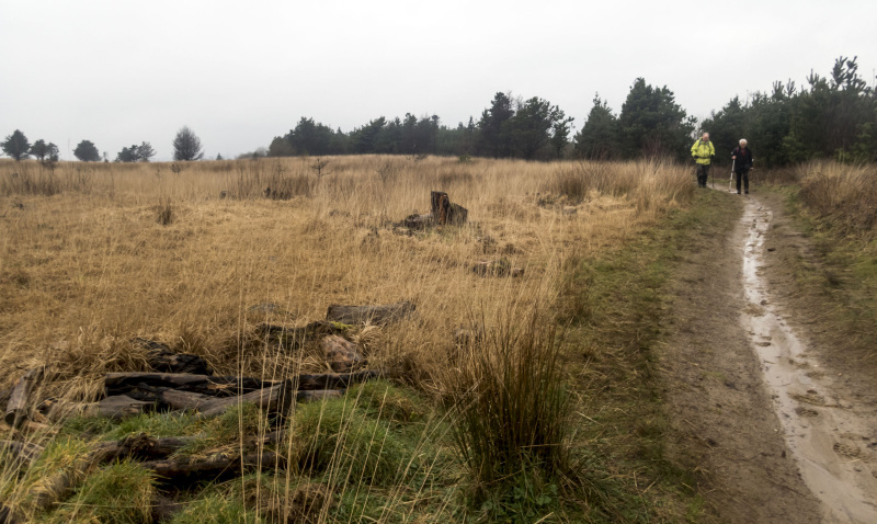 Photograph of Walking Route - Image 14