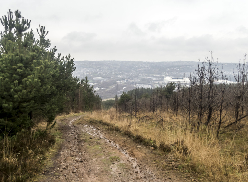 Photograph of Walking Route - Image 20
