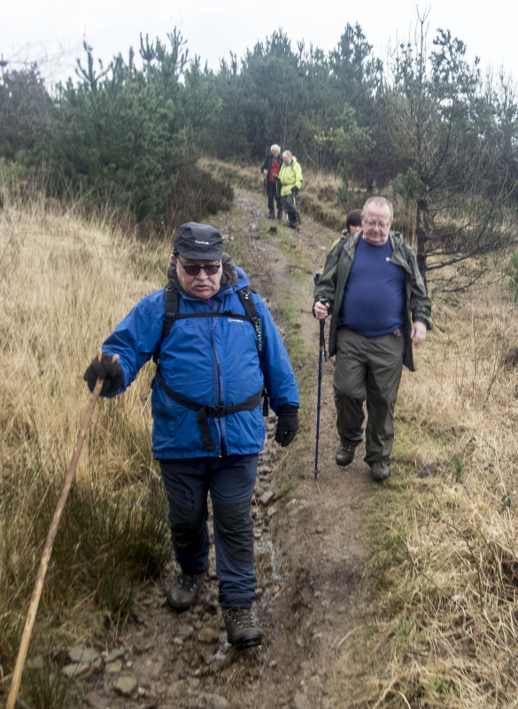 Photograph of Walking Route - Image 21