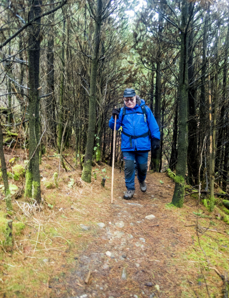 Photograph of Walking Route - Image 24