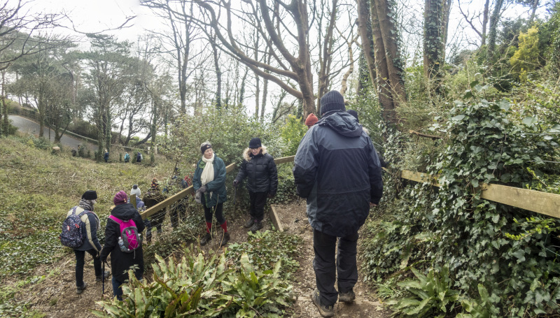 Photograph of Walking Route - Image 3