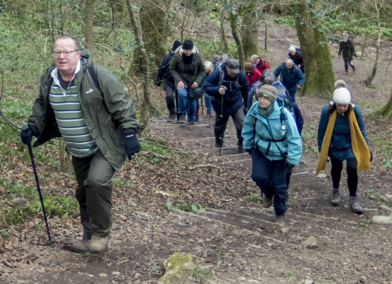 Photograph of Walking Route - Image 26