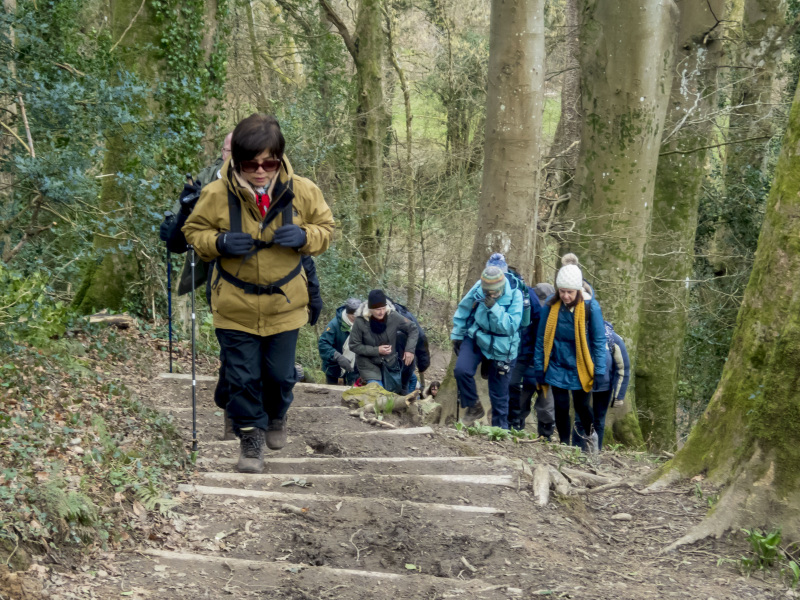 Photograph of Walking Route - Image 27