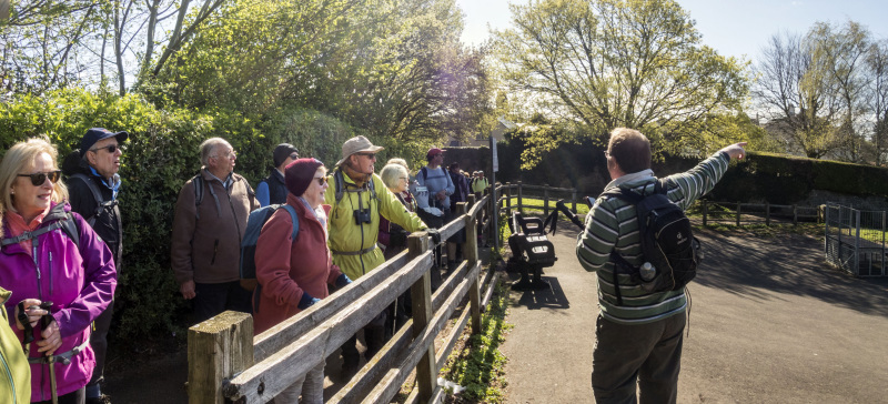 Photograph of Walking Route - Image 5