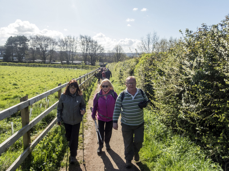 Photograph of Walking Route - Image 10