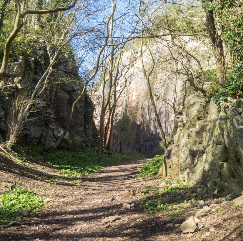 Photograph of Walking Route - Image 12