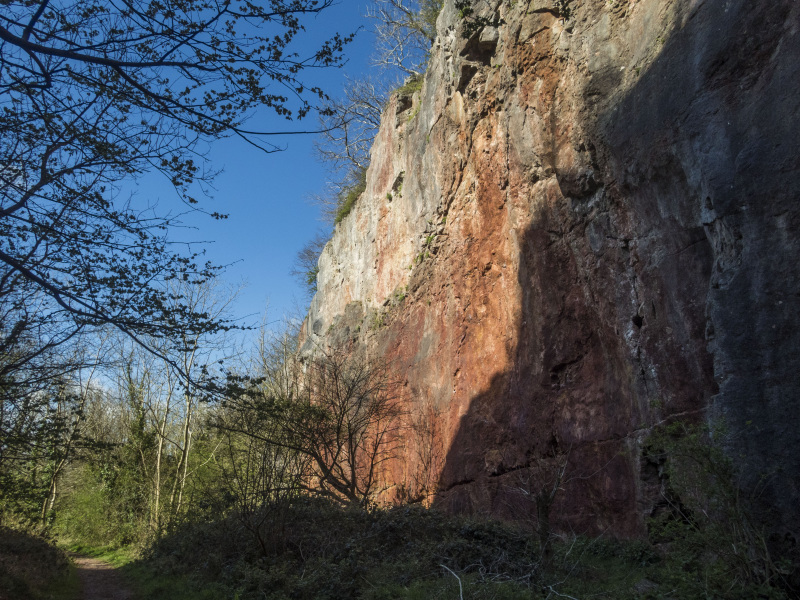 Photograph of Walking Route - Image 13