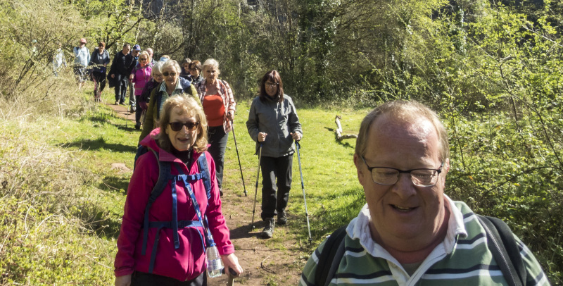 Photograph of Walking Route - Image 15